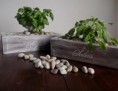 /products/vaso-di-fiori/